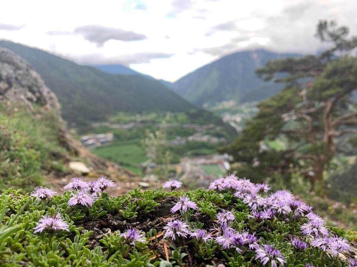 Passamane Pb - Canillo - Casco Antiguo Kültér fotó